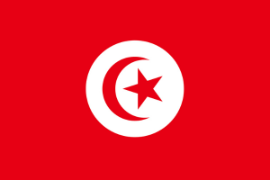 Acheter Bases de Données Emails Entreprises par Pays: Tunisie