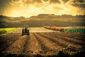 Acheter Base de données Emails Entreprises 235 emails Agriculture et élevage machines et matériel Suisse, Acheter Base de données Emails Entreprises 625 emails Agriculture et Élevage Belgique