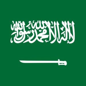 Acheter Bases de Données Emails Entreprises par Pays: Arabie saoudite