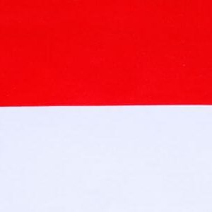 Acheter Bases de Données Emails Entreprises Ciblée: Indonésie