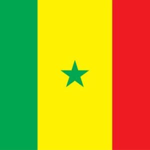 Acheter Bases de Données Emails Entreprises par Pays: Sénégal